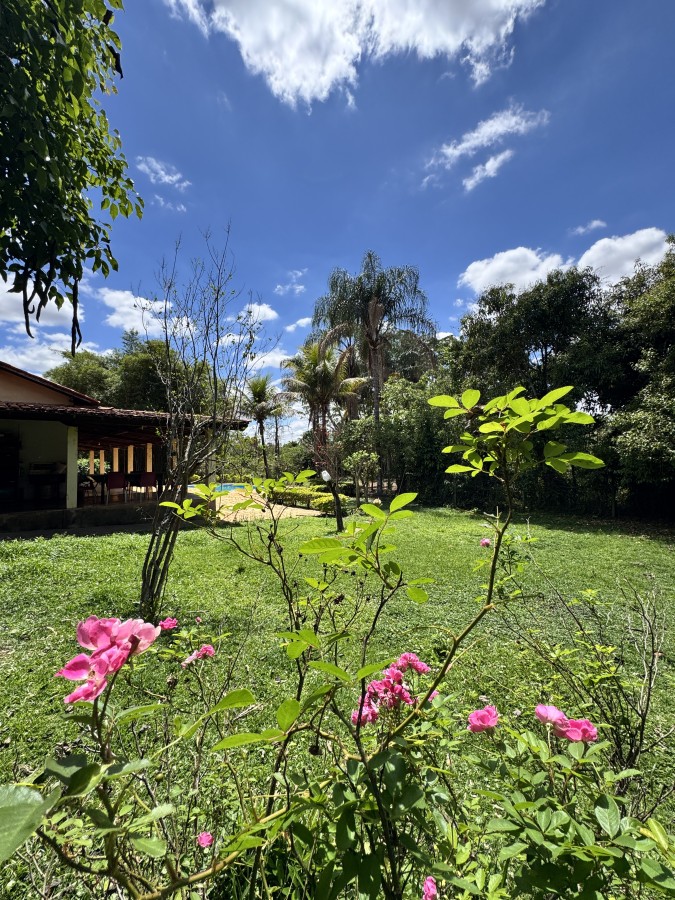 Chácara, 3 quartos, 4955 m² - Foto 14