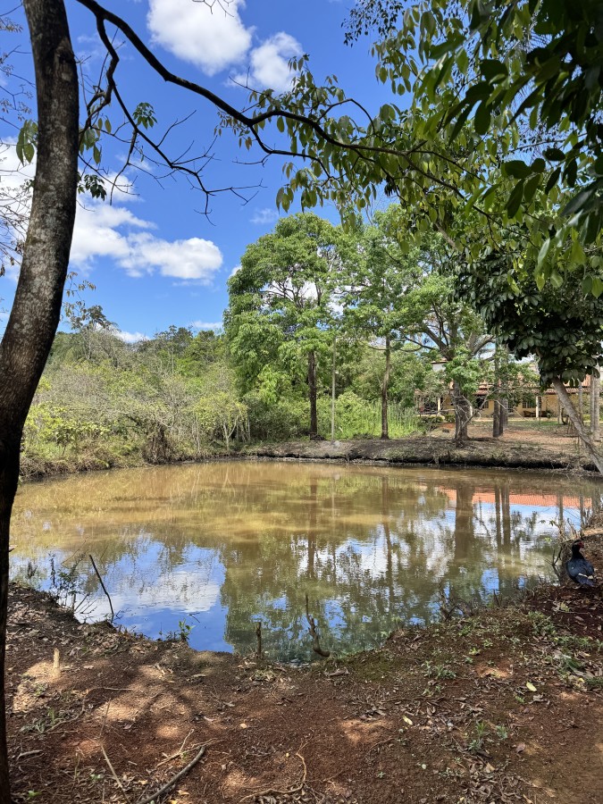 Chácara, 3 quartos, 4955 m² - Foto 40