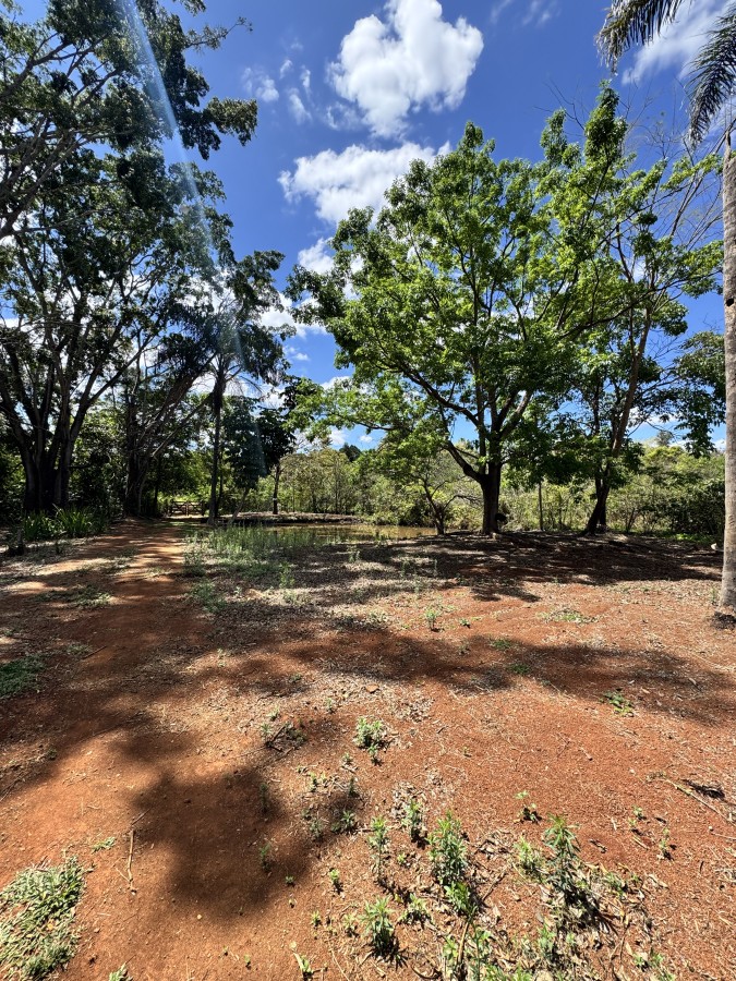 Chácara, 3 quartos, 4955 m² - Foto 44